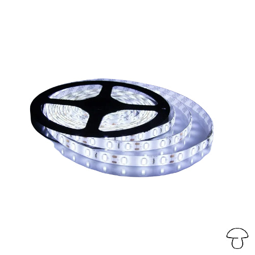 Led Strip