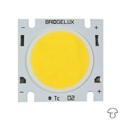 Collection image for: Cob Led