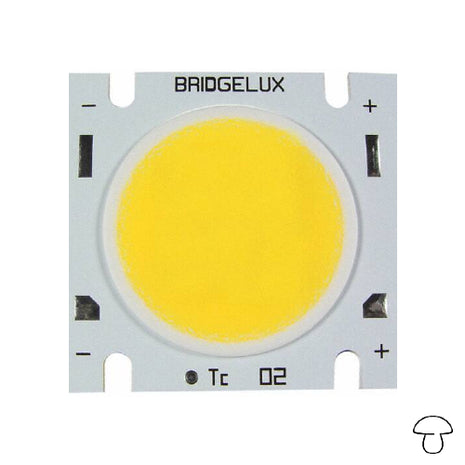 Matriz de LED blanco cálido, 1200 lúmenes