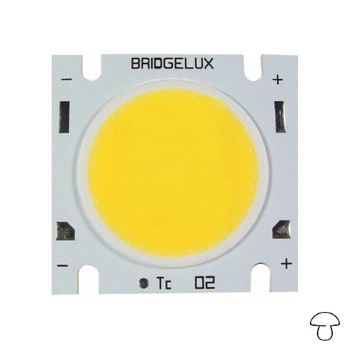 Warm White LED Array, 1200 Lumens – Electrónica Seta
