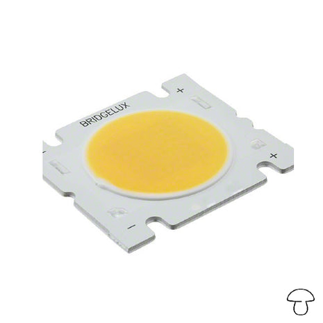Matriz de LED blanco cálido, 3000 lúmenes