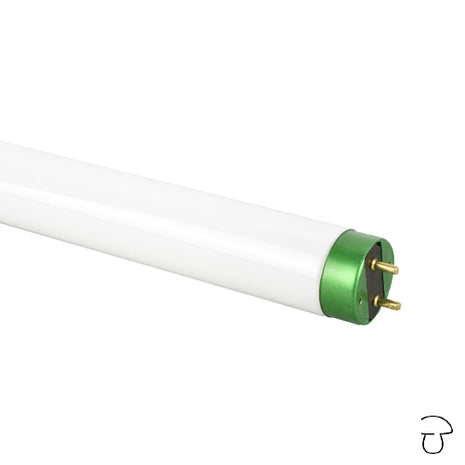 Tubo de luz LED, 17 W, T8 1200 mm (48"), 2115 lúmenes