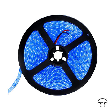 Tira de Luz Flexible SMD 3528, 120 LEDs/m, 5 Metros, Azul