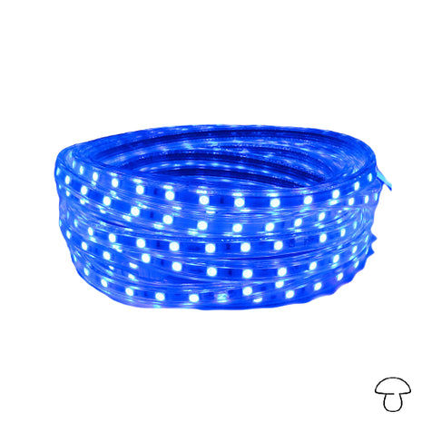 Tira de luz flexible SMD 3528, 60 LED/m, azul