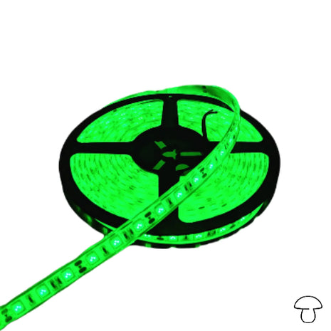 Tira de Luz Flexible SMD 3528, 60 LEDs/m, 8 Metros, Verde