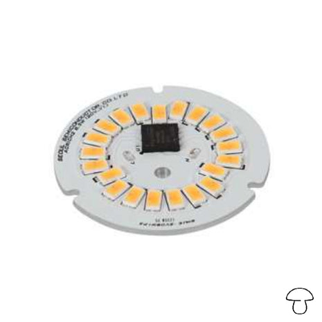 Acrich 4w 240v Cct. 5000k Luz Fría